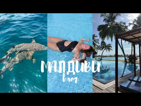 Видео: Малдиви | Част 3 
