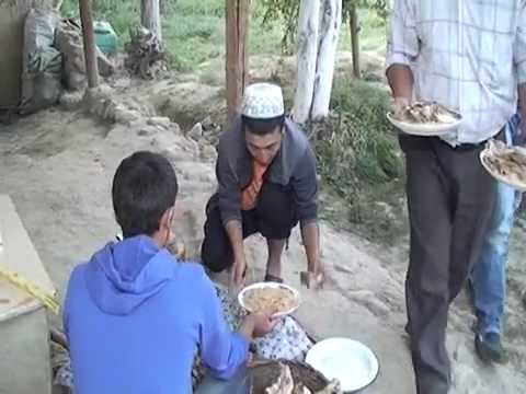 Видео: Шумкар 5