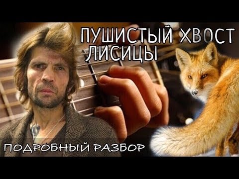 Видео: Пушистый хвост лисицы разбор на гитаре - Константин Ступин