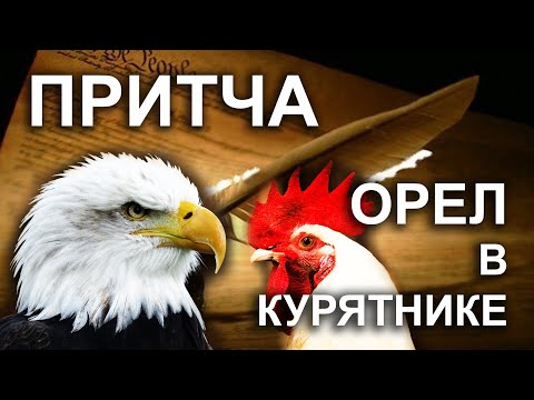 Видео: ОРЁЛ В КУРЯТНИКЕ... Жизненная ПРИТЧА
