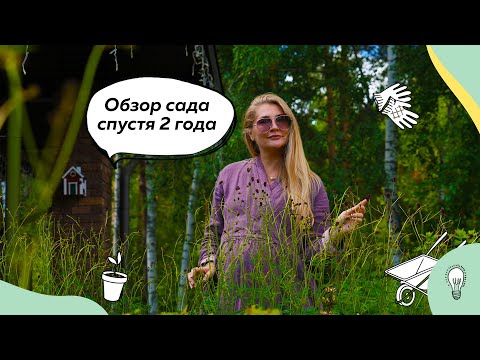 Видео: Обзор сада спустя 2 года | Ландшафтный дизайн 20 соток | Плодовый сад | Розы в саду