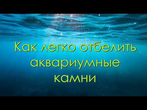 Видео: Как легко отбелить окавариумные камни