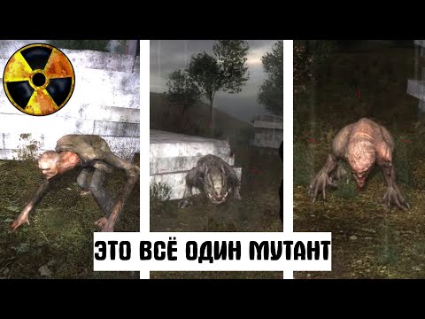 Видео: Он может превращаться в мутантов. STALKER Золотой Шар. Завершение #25