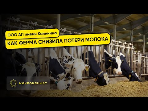 Видео: «Микроклимат» в хозяйстве ООО «АП Калинина»