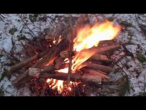 Видео: Нужен ли магний для разведения огня,тесты.
