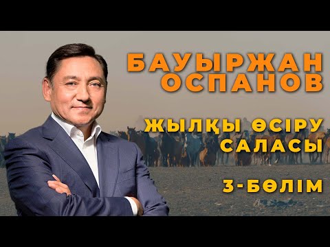 Видео: Мал шаруашылығы. 3-бөлім: Бауыржан Оспановтың жылқы шаруашылығы жайлы