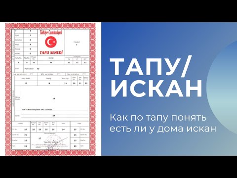 Видео: Как по тапу понять есть ли искан