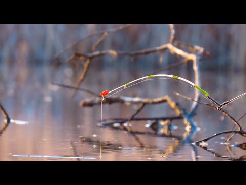 Видео: Закормили корчі макухою і почали рибалку на нову "залізну вудку"