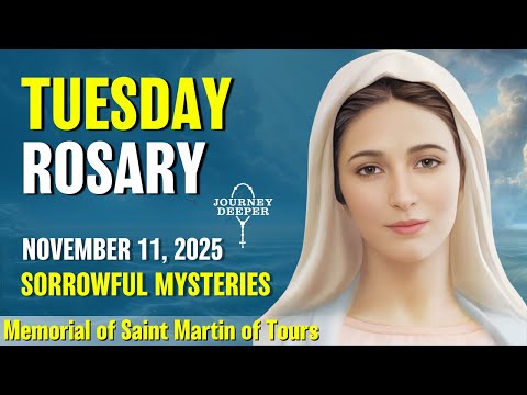 Видео: Вторник Розария 🤎 Скорбные тайны Розария 🤎 11 ноября 2025 г. ВИРТУАЛЬНЫЙ РОЗАРИЙ