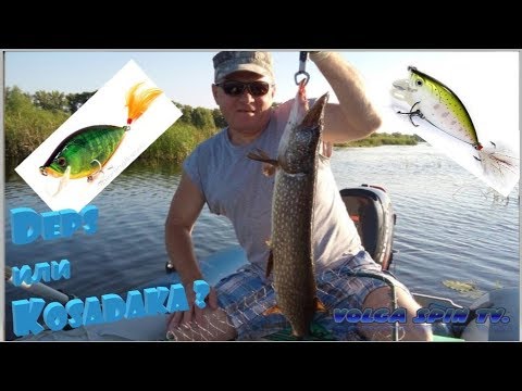 Видео: За щукой с одним воблером в коробке.  #рыбалканащуку #volgaspintv #fishing