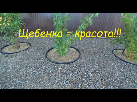 Видео: Щебенка в ландшафтном дизайне сада!