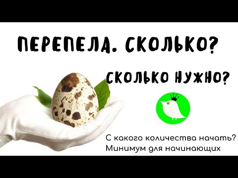 Видео: Перепела.  Сколько? С какого количества начать? Минимум для начинающих