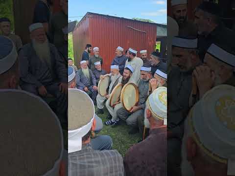 Видео: Мо1си к1отар 20 июнь 2025 г.