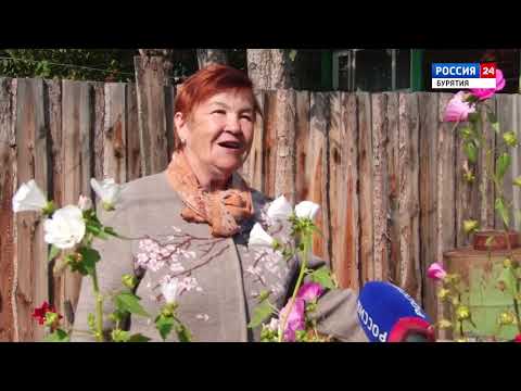 Видео: Судьба моя, Баунт! Эфир от 03 10 2020 Багдарин , Аммалат и т.д.