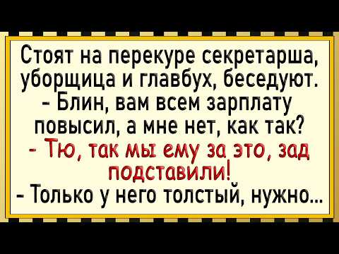Видео: Как секретарша повышение получала! Сборник свежих анекдотов!