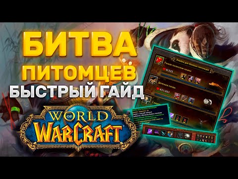 Видео: БИТВЫ ПИТОМЦЕВ ПОЛНЫЙ БЫСТРЫЙ ГАЙД ДЛЯ ЛЮБОГО ДОПОЛНЕНИЯ