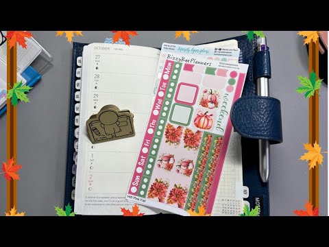 Видео: 27 октября – 2 ноября 2025 г. | Недели Хобони | #хобоничивеки