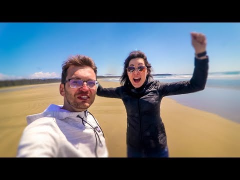 Видео: 3 дня на острове Ванкувер | Морские львы, киты, орлы и павлины | океан, лес  и горы