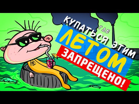 Видео: Фёкла: Где купаться жарким летом? (анимация)