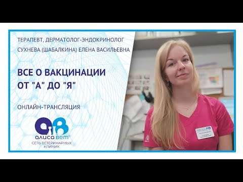 Видео: Прививки кошке и собаке (вебинар)