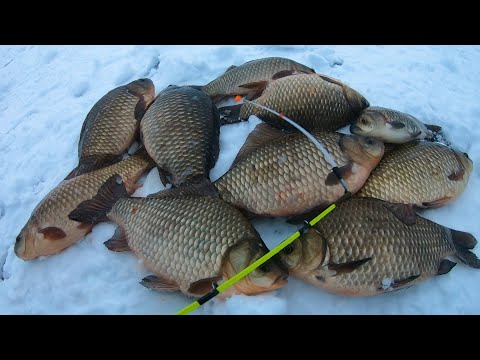 Видео: ЛОВЛЯ КАРАСЯ ЗИМОЙ на УДОЧКУ С БОКОВЫМ КИВКОМ... Рыбалка на карася ЗИМОЙ!