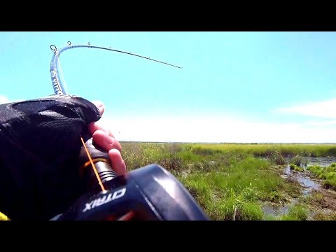 Видео: Отметил День Рыбака На Воде.Очередная Раздача ЗМЕЕГОЛОВА!!!