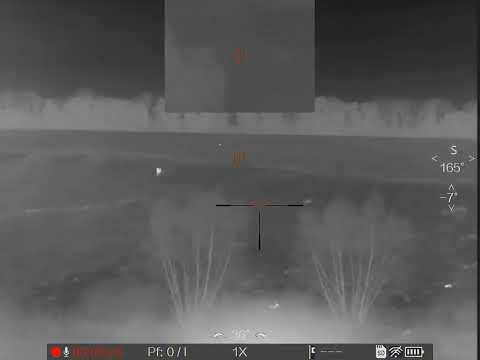 Видео: #Выстрел по #автобаллистике #тепловизора #Nnpo trs 645lrf #успешная #охота на #косулю #ночнаяохота