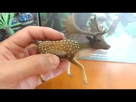 Видео: Collecta - Fallow deer - Лань