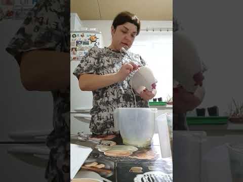 Видео: 17.03 ТОРТ ,,МЕЧТА " #пп #вкусняшки #готовимвместе #худеемвместе