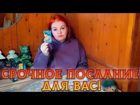 Видео: СРОЧНОЕ ПОСЛАНИЕ РОДА ДЛЯ ВАС!