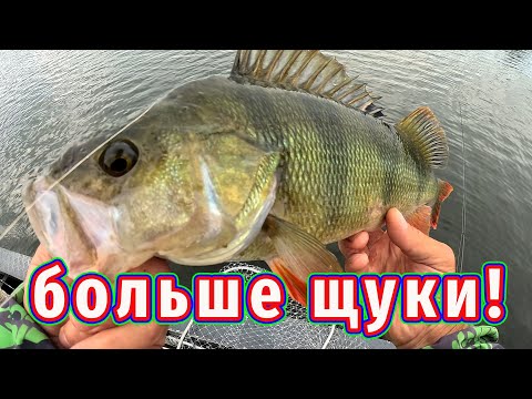 Видео: Можно ли Поймать Щуку в каждом озере? Окунь БОЛЬШЕ щуки!