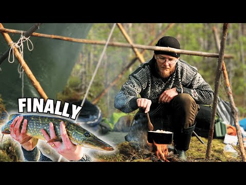 Видео: Поймай и приготовь | Рыбалка в лесу (2 дня)