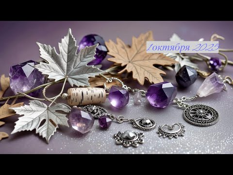 Видео: Новое поступление 1-10-2025