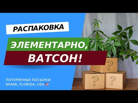 Видео: Ну и находка! Распаковка потерянных посылок и обзор товаров в США, Флорида.