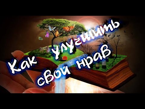 Видео: Великие поучительные истории