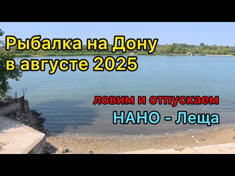 Видео: Рыбалка на Дону в Августе 2025. Ловим и отпускаем!
