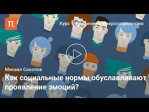 Видео: Социология эмоций — Михаил Соколов