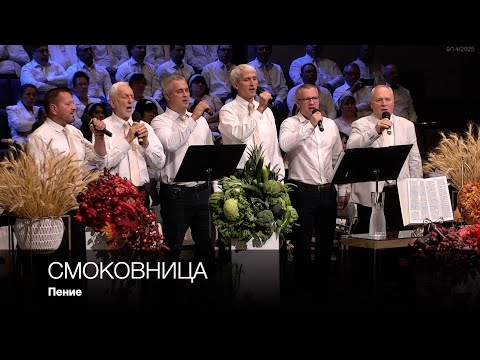 Видео: Смоковница | Пение