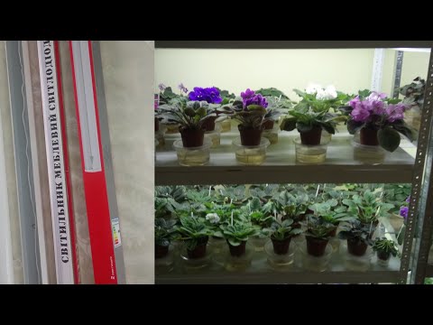 Видео: Стелаж. Освещение стелажа. Советы и ошибки