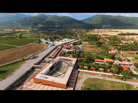 Видео: Дамасцена - Damascena