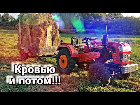 Видео: Сенокос который проверил меня на прочность // Такое со мной первый раз