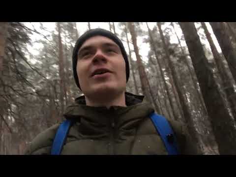 Видео: давай я покажу тебе лес рядом с домом (снял на айфон 7 в 2025)