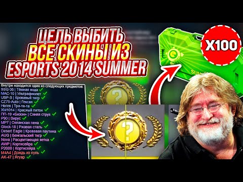 Видео: ЦЕЛЬ - ВЫБИТЬ СОВЕРШЕННО ВСЕ СКИНЫ ИЗ КЕЙСА ESPORTS 2014 SUMMER CASE! А ведь ему почти уже 10 лет...