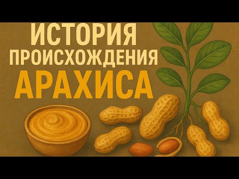 Видео: От священного растения до арахисовой пасты удивительное путешествие земляного ореха