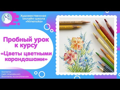 Видео: Пробный урок к карандашному "Цветочному курсу". Рисуем цветы цветными карандашами.