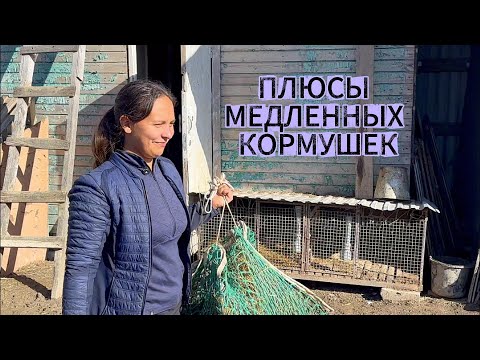 Видео: Медленные кормушки
