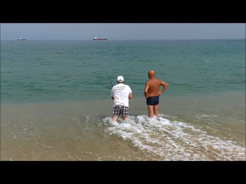 Видео: Рыбалка на берегах Атлантики Fishing on the shores of the Atlantic