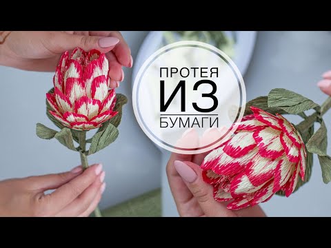 Видео: Paper Proteus / Протея из бумаги / DIY Tsvoric