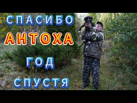Видео: *СПАСИБО АНТОХА*КУПИЛ ХУТОР НА БОЛОТЕ ЧАСТЬ 2