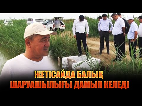 Видео: Жетісайда балық шаруашылығы дамып келеді